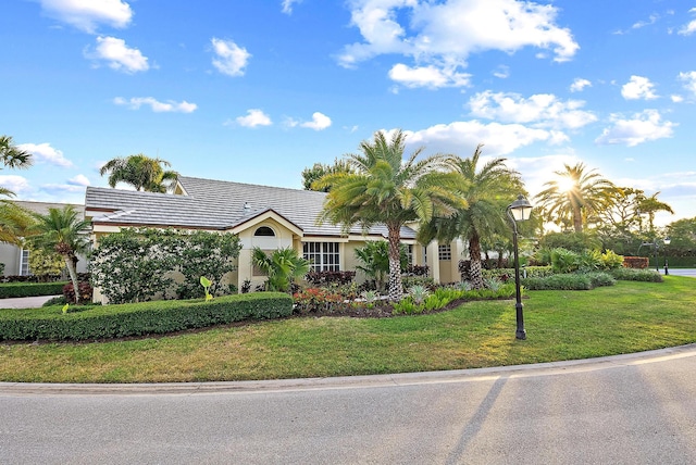 view of front of house with stucco siding and a front lawn