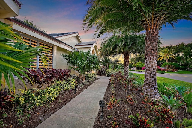 view of yard at dusk