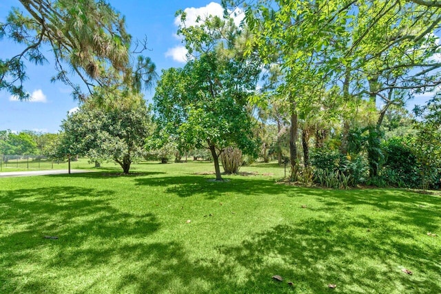 view of yard
