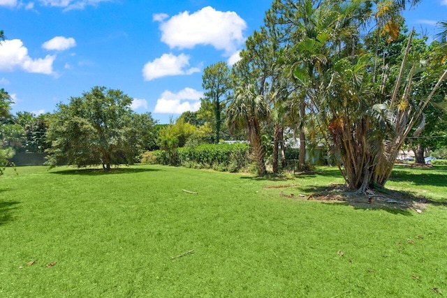 view of yard