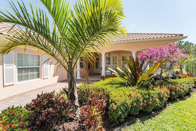 3352 SE Cascadia Way, Hobe Sound, FL 33455 - exterior space with a tile roof, a patio area, and stucco siding