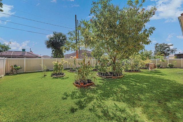 view of yard featuring a fenced backyard