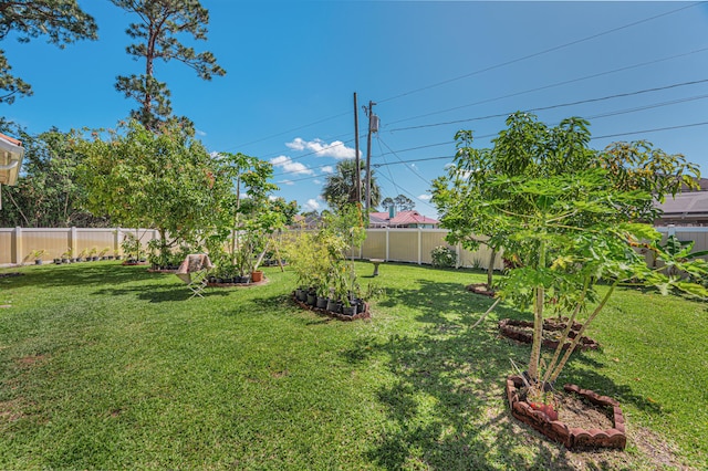 view of yard with a fenced backyard