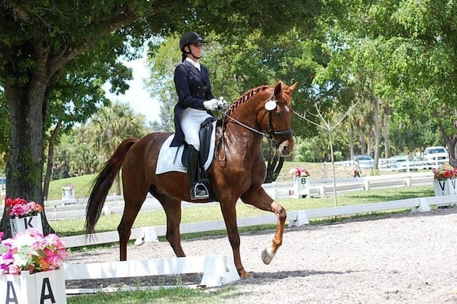 582 Cypress Green Cir, Wellington, FL 33414 - view of horse barn