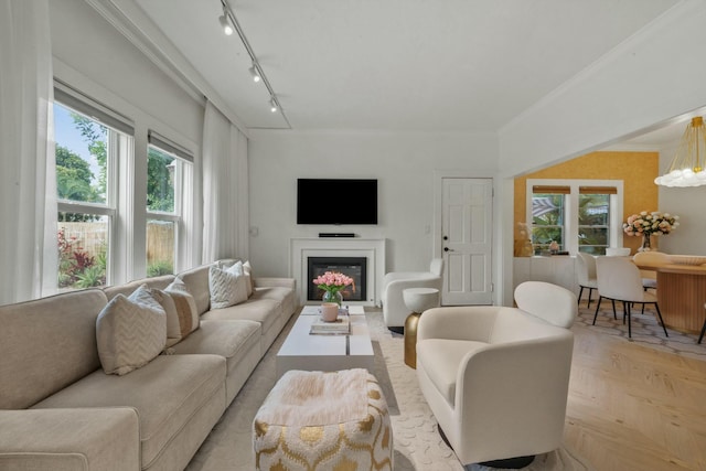 951 Selkirk St, West Palm Beach, FL 33405 - living area featuring crown molding, rail lighting, a glass covered fireplace, and plenty of natural light