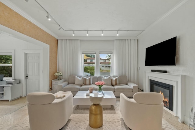 951 Selkirk St, West Palm Beach, FL 33405 - living room featuring crown molding, rail lighting, and a glass covered fireplace