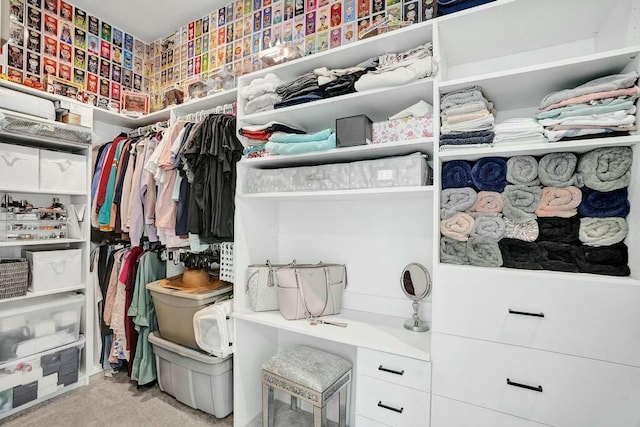 12170 N Baypoint Cir, Parkland, FL 33076 - walk in closet featuring carpet flooring