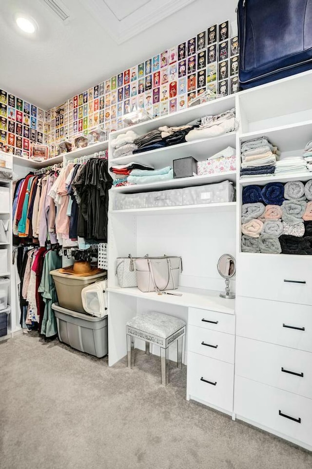 12170 N Baypoint Cir, Parkland, FL 33076 - walk in closet with visible vents and carpet floors