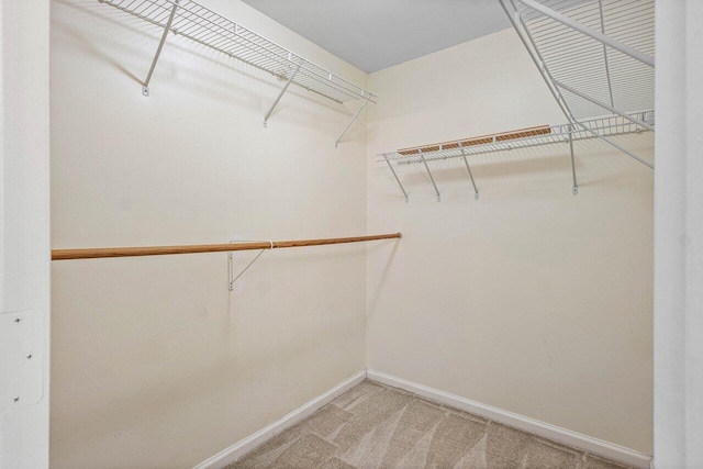 3803 S Lancewood Pl, Delray Beach, FL 33445 - spacious closet featuring light carpet