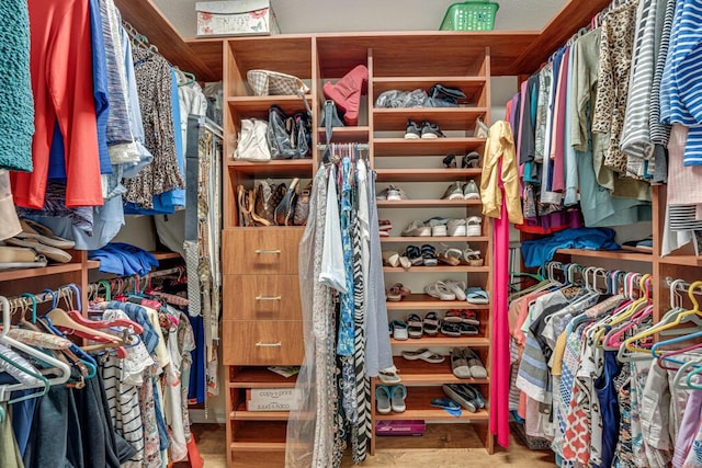 view of spacious closet