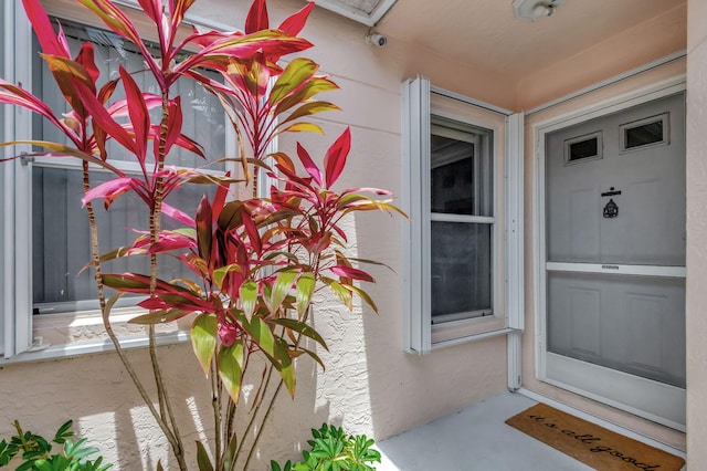 doorway to property with stucco siding