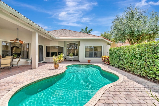 16211 Rosecroft Ter, Delray Beach, FL 33446 - outdoor pool featuring a patio and ceiling fan