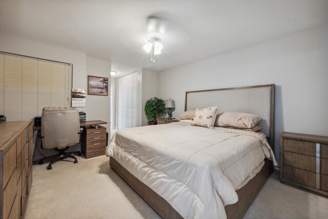 bedroom with a closet and light colored carpet