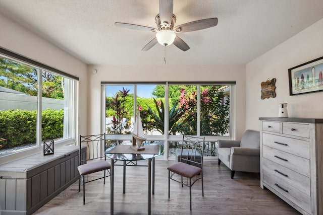 interior space with plenty of natural light