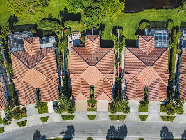 bird's eye view