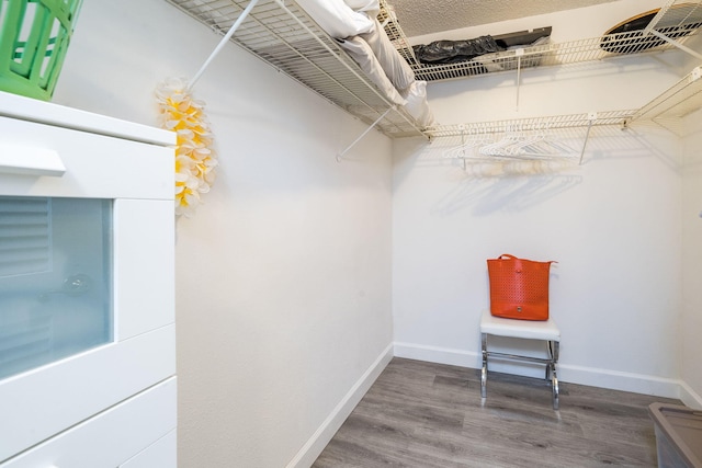 walk in closet featuring wood finished floors
