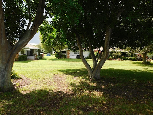 317 Colony Ln Unit A, Fort Pierce, FL 34982 - view of green lawn