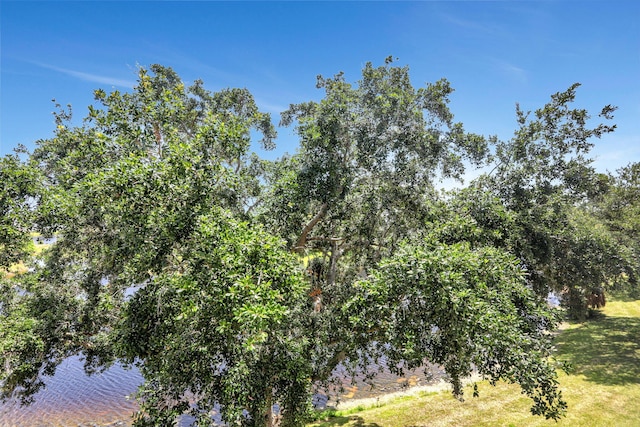 432 Grantham Unit B, Deerfield Beach, FL 33442 - view of undeveloped land