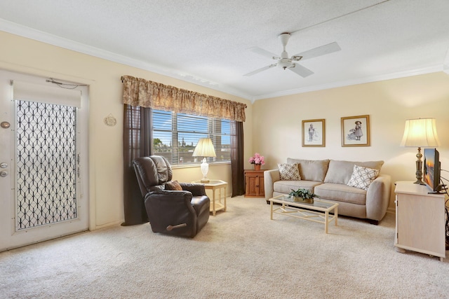 432 Grantham Unit B, Deerfield Beach, FL 33442 - living room with crown molding, carpet, and a ceiling fan