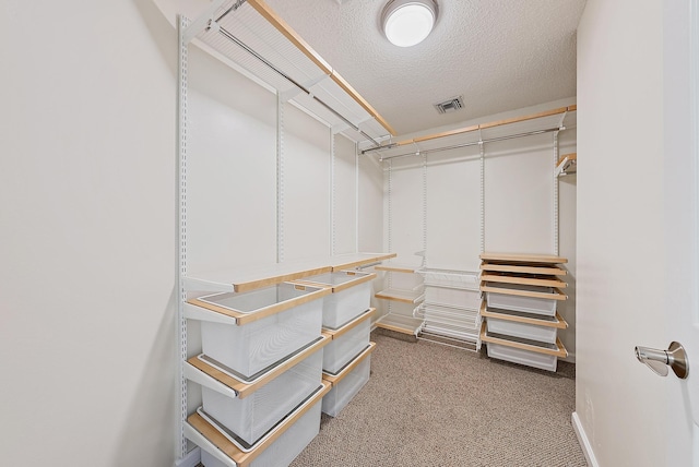 6089 Adams St, Jupiter, FL 33458 - spacious closet featuring carpet and visible vents