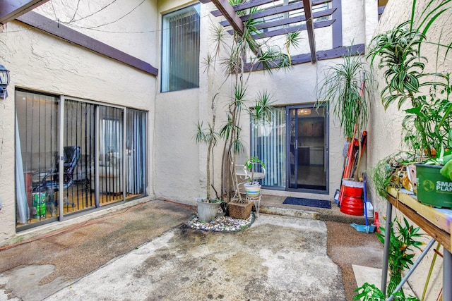 doorway to property featuring stucco siding, a pergola, and a patio