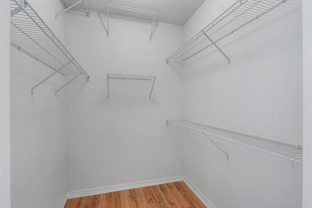 3211 Tuscany Way, Boynton Beach, FL 33435 - walk in closet with light wood-style floors