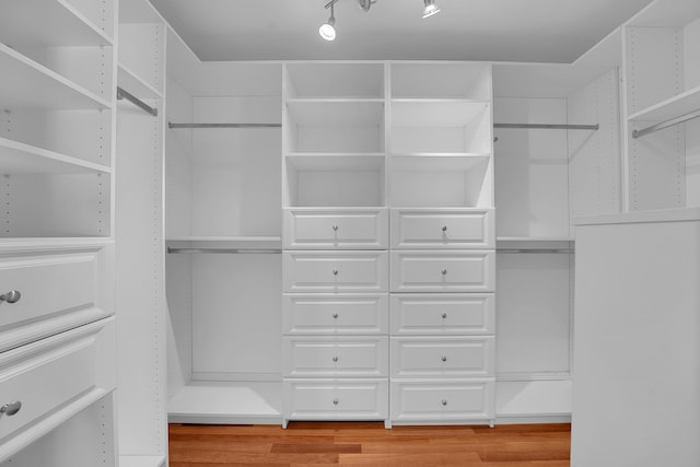 walk in closet with light wood-style flooring