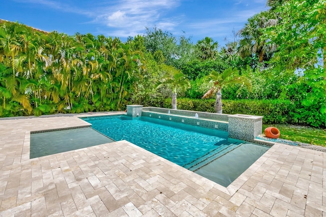 outdoor pool featuring a patio area