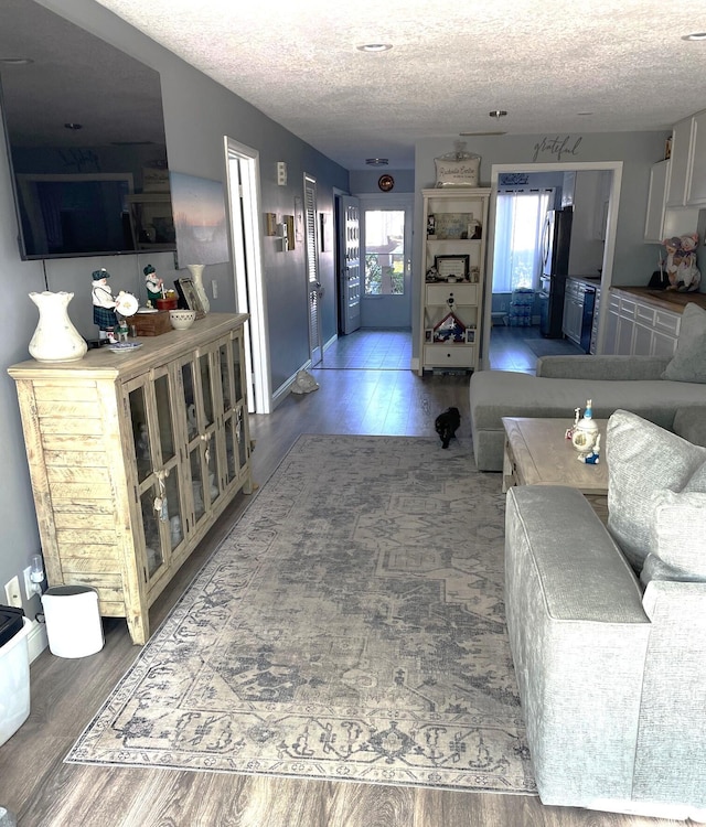 living room featuring a textured ceiling and wood finished floors