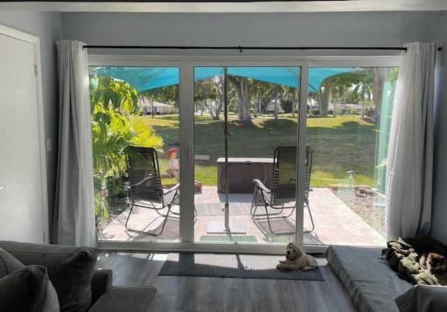 doorway to outside with wood finished floors and a wealth of natural light