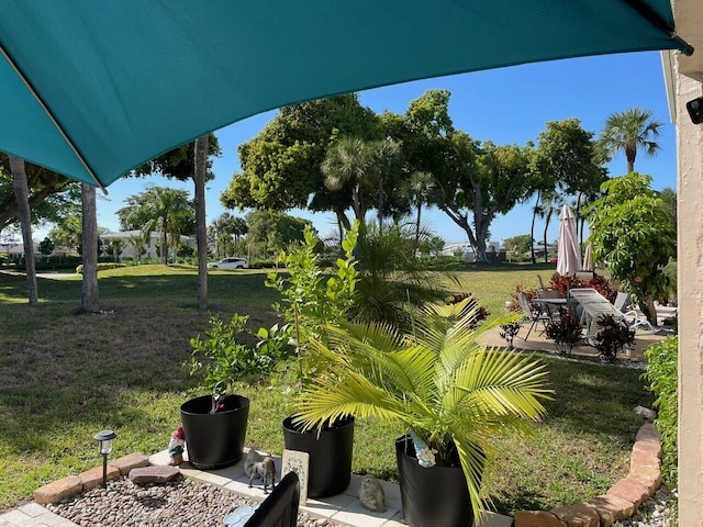 view of yard with a patio