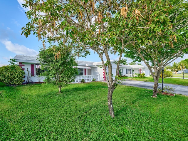 view of front of house featuring aphalt driveway and a front yard
