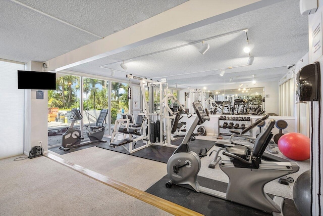 workout area featuring track lighting, a textured ceiling, and carpet floors