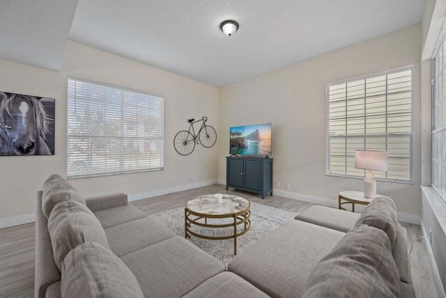 living room with wood finished floors and baseboards