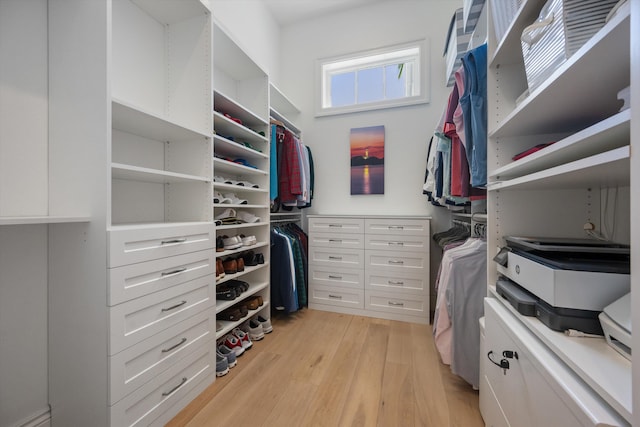walk in closet featuring light wood-style floors