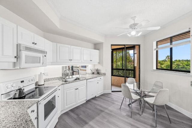 7546 La Paz Blvd Unit 408, Boca Raton, FL 33433 - kitchen featuring white appliances, a sink, baseboards, a ceiling fan, and ornamental molding