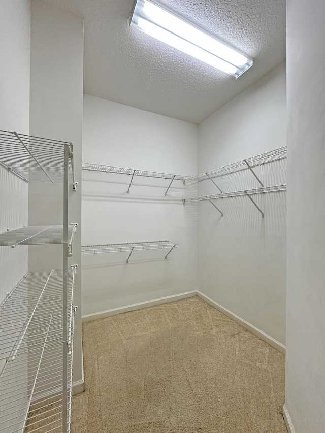 573 SW Saint Kitts St, Port Saint Lucie, FL 34953 - walk in closet featuring carpet