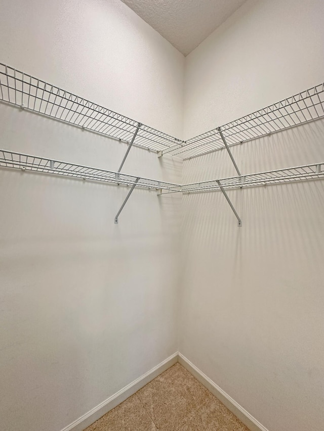 573 SW Saint Kitts St, Port Saint Lucie, FL 34953 - spacious closet with carpet floors