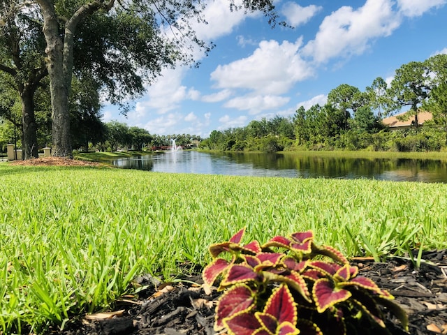 573 SW Saint Kitts St, Port Saint Lucie, FL 34953 - water view