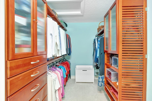 spacious closet featuring light colored carpet