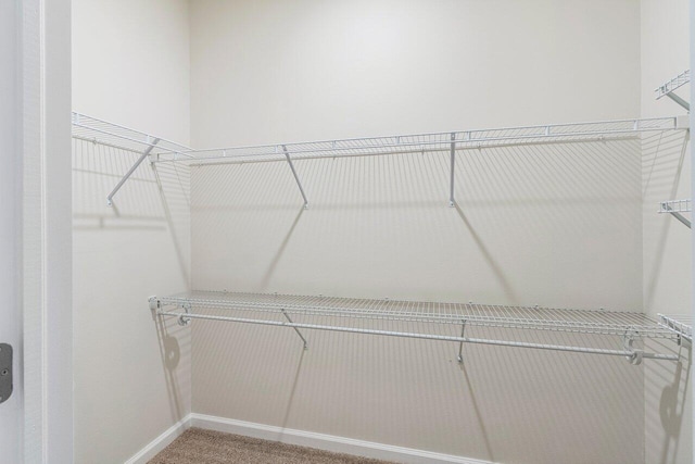 6056 NW Regent St, Port Saint Lucie, FL 34983 - spacious closet with light carpet