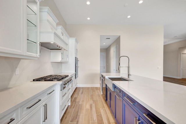 kitchen featuring blue cabinetry, appliances with stainless steel finishes, a sink, premium range hood, and white cabinets