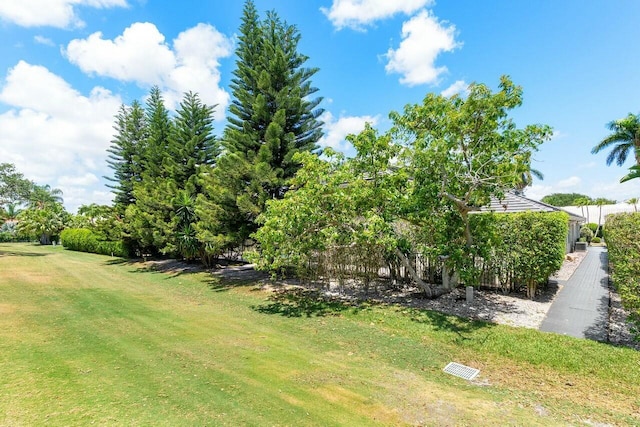 view of yard