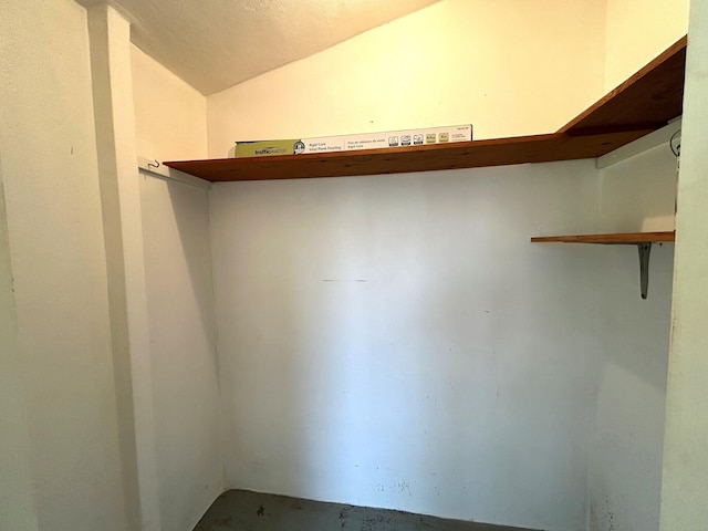 spacious closet with lofted ceiling