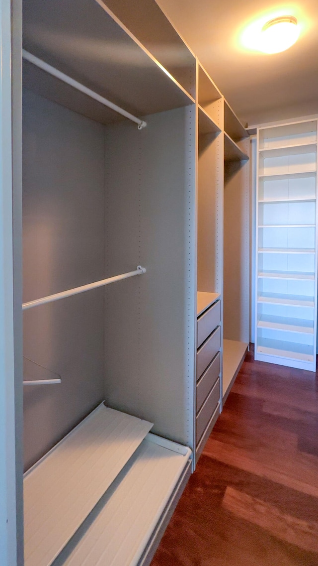 2500 E Las Olas Blvd Unit 802, Fort Lauderdale, FL 33301 - walk in closet with dark wood-style flooring