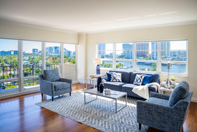 2500 E Las Olas Blvd Unit 802, Fort Lauderdale, FL 33301 - living area featuring a view of skyline, crown molding, wood finished floors, and baseboards