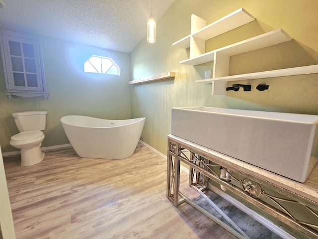 17120 NW 38th Ave, Okeechobee, FL 34972 - bathroom featuring wood finished floors, toilet, baseboards, a textured ceiling, and a soaking tub