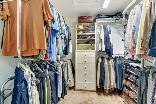walk in closet with carpet flooring and attic access