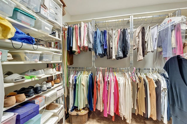 walk in closet featuring carpet floors