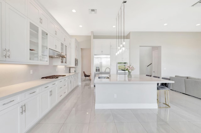 kitchen featuring under cabinet range hood, stainless steel appliances, visible vents, and a sink